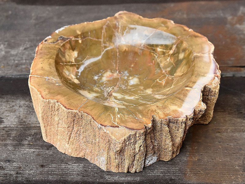 Dekorační miska zkamenělé dřevo 1020g
