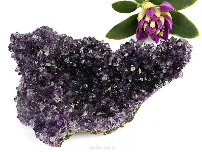 Natural druse of amethyst top quality 1652g (Uruguay)