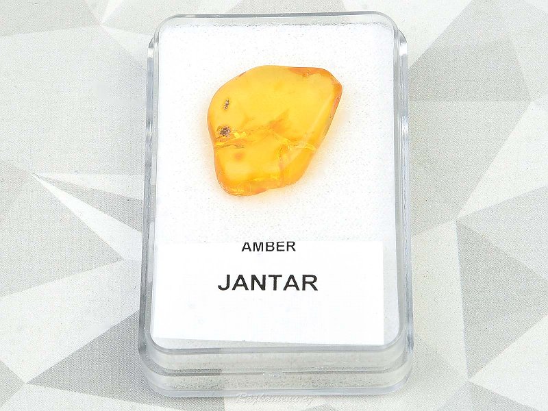 Amber in a box (1.57g)