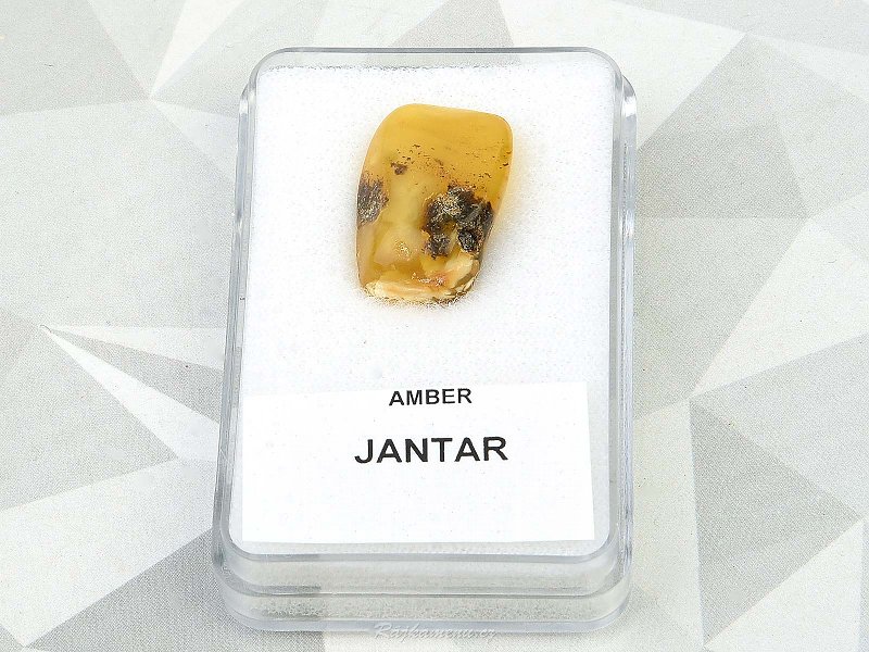 Amber in a box (1.41g)