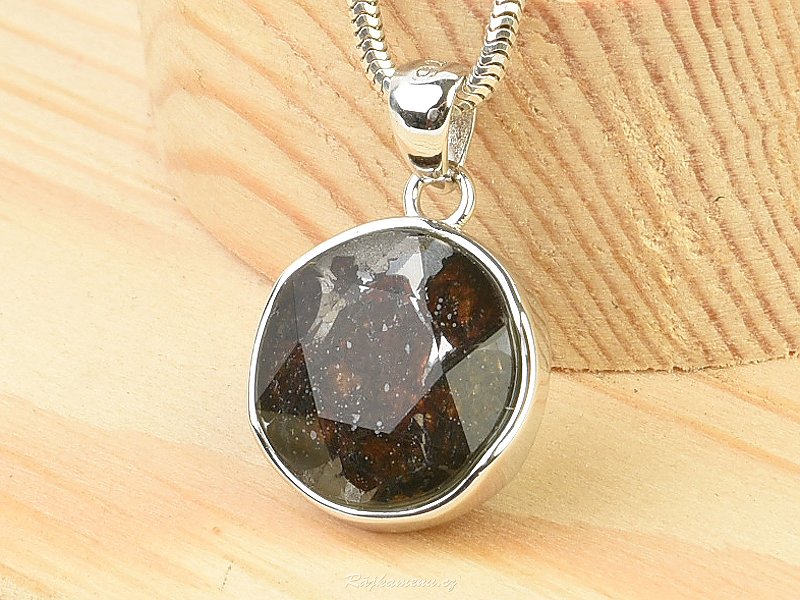 Pallasite round pendant with facets Ag 925/1000