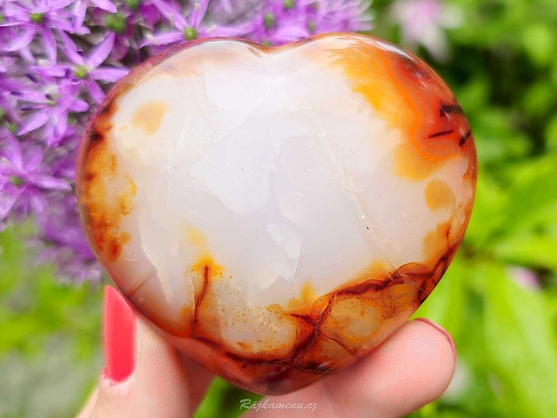 Smooth heart in the hand carnelian 6.3 cm