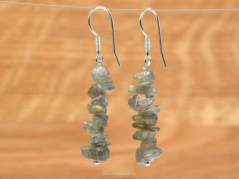 Earrings with Labradorite Ag