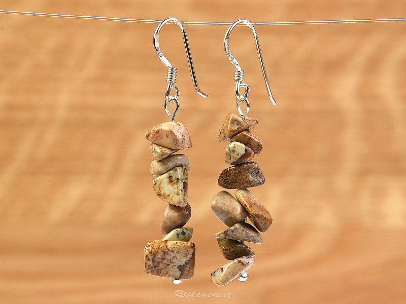Earrings with picture jasper Ag