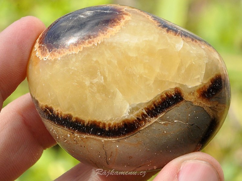 Septarie large stone (Madagascar) 59 mm