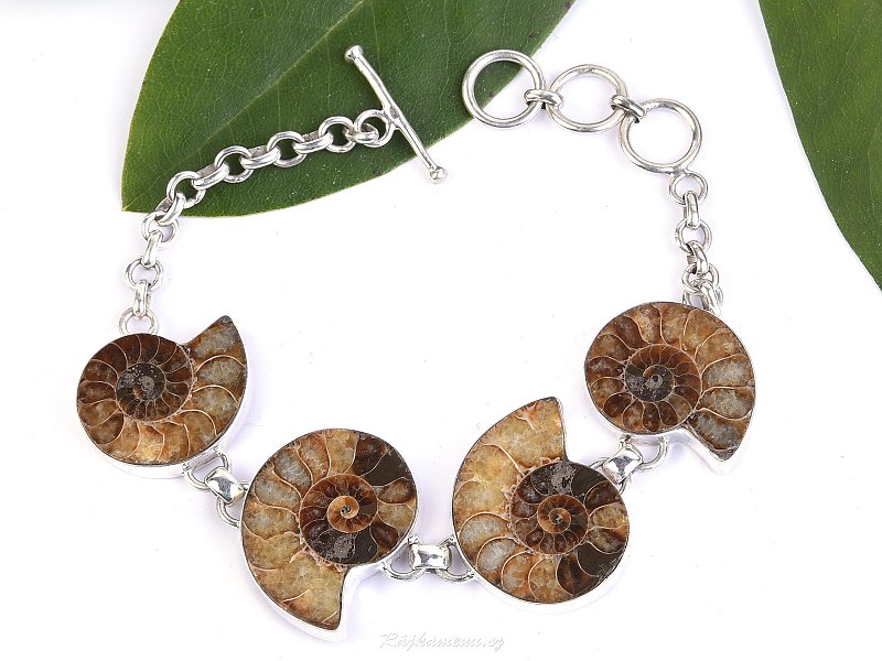 Ammonites bracelet with silver Ag 925/1000 29.1 g