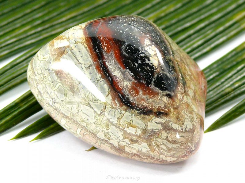 Brekciový jasper stone 58 g