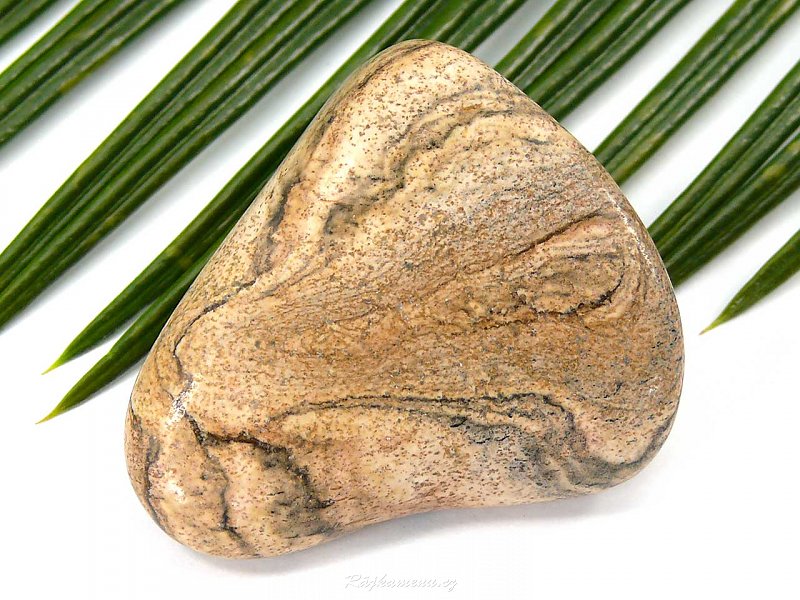 Jaspis obrázkový kámen 40g
