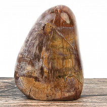 Zkamenělé dřevo freeform 371g