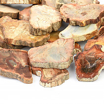 Zkamenělé dřevo plátek 40-75mm