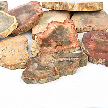 Zkamenělé dřevo plátek 50-80mm