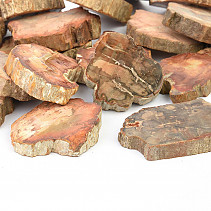 Zkamenělé dřevo 45-50mm