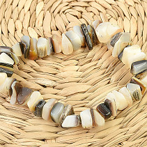 Seashells with mother of pearl bracelet chopped shapes