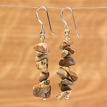 Earrings with picture jasper Ag