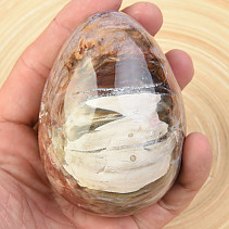Eggs petrified wood (Madagascar) 89 mm