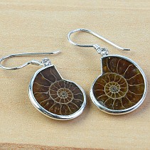 Silver earrings with ammonites