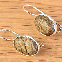 Earrings jaspis picture oval Ag 925/1000 3,8g