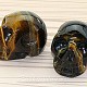 The skull of the tiger eye stone
