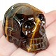 The skull of the tiger eye stone