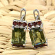 Earrings with moldavite and garnets rectangle 8 x 6mm standard cut Ag 925/1000 Rh